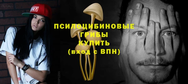 индика Балахна