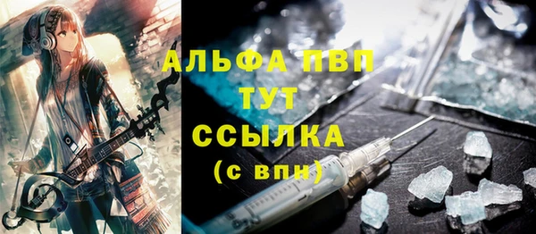 индика Балахна