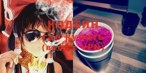 индика Балахна