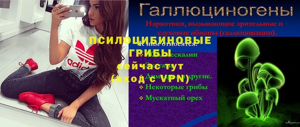 винт Баксан