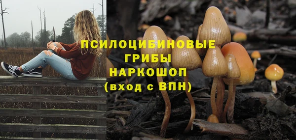 винт Баксан