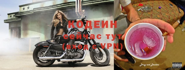 индика Балахна