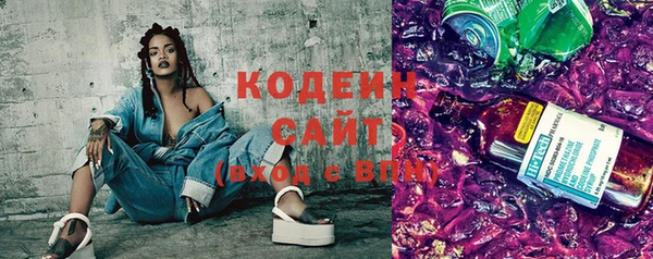 индика Балахна