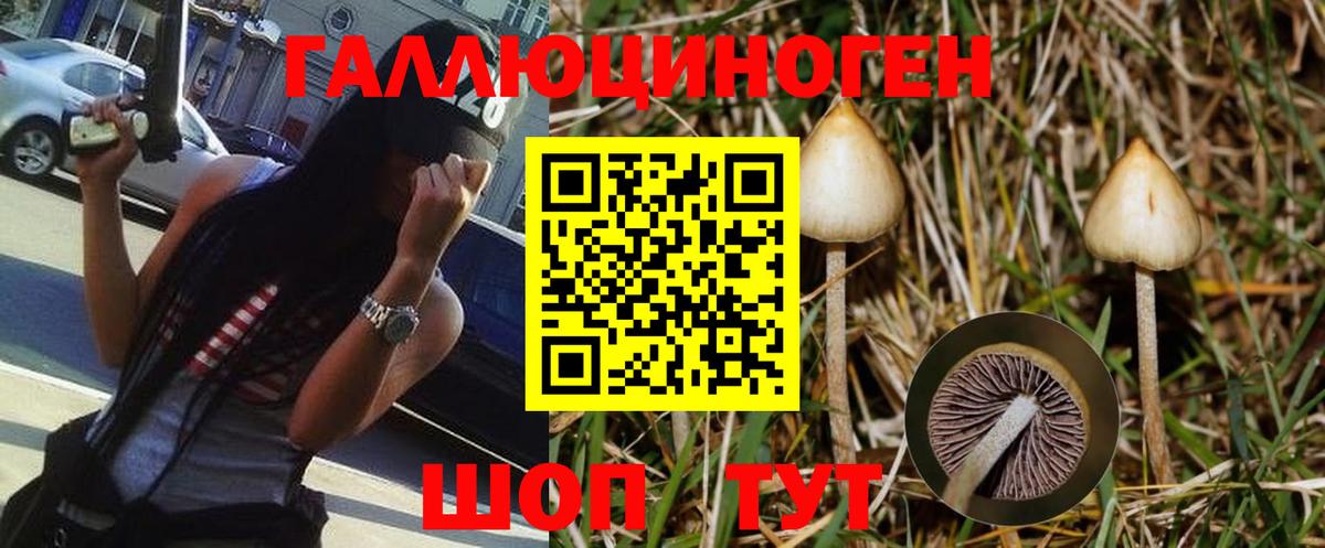Псилоцибиновые грибы прущие грибы Гусев