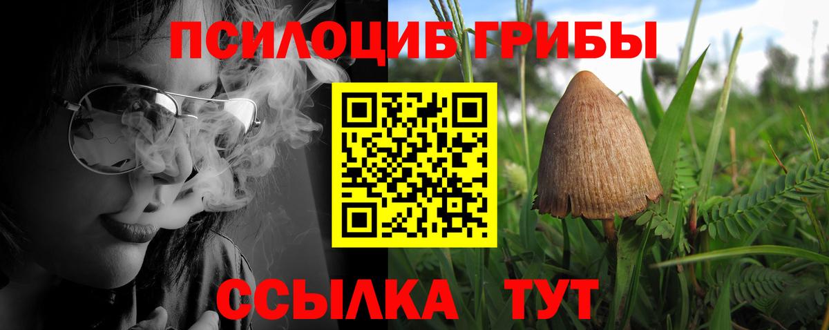 Гусев  Галлюциногенные грибы Psilocybine cubensis  Галлюциногенные грибы MAGIC MUSHROOMS  где купить наркоту  Вход с VPN 